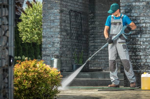 Animal Enclosure Cleaning in Pocono Springs, PA